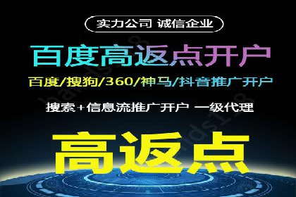 百度运营推广策略解析，看这些成功案例