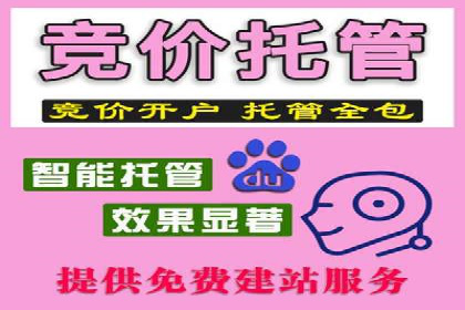 SEM广告案例：精准定位实现客户转化