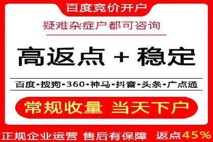 某行业SEM广告投放的创意与执行案例